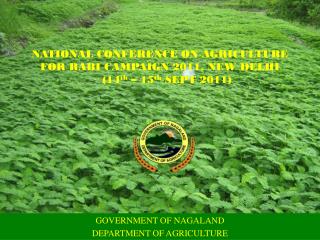 GOVERNMENT OF NAGALAND DEPARTMENT OF AGRICULTURE