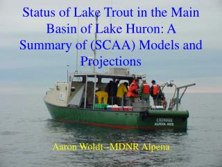 Status of Lake Trout in the Main Basin of Lake Huron: A Summary of (SCAA) Models and Projections