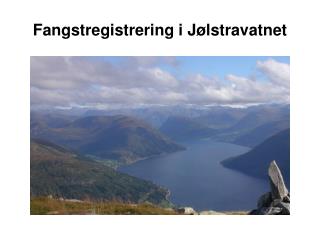 Fangstregistrering i Jølstravatnet