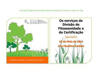 Os serviços da Divisão de Fitossanidade e da Certificação SANTARÉM 18 de Maio de 2011