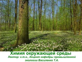 Лектор: к.т.н., доцент кафедры промышленной экологии Василенко Т.А.