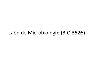 Labo de Microbiologie (BIO 3526)