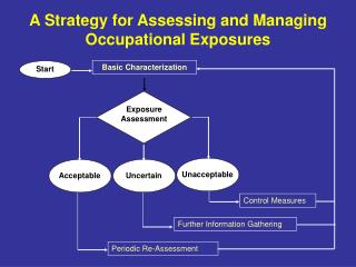 A Strategy for Assessing and Managing Occupational Exposures
