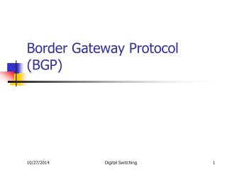 Border Gateway Protocol (BGP)