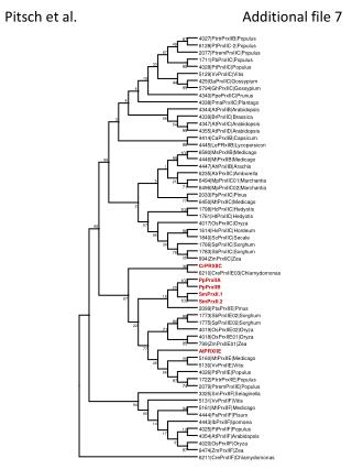 Pitsch et al.				 Additional file 7