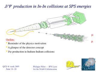 J/  production in In-In collisions at SPS energies