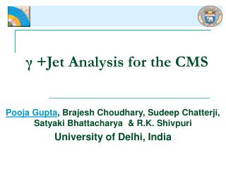 γ +Jet Analysis for the CMS