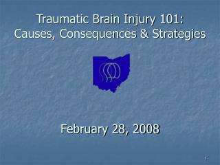 Traumatic Brain Injury 101: Causes, Consequences & Strategies