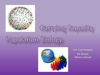 Carrying Capacity