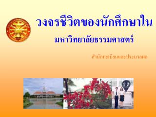 วงจรชีวิตของนักศึกษาใน มหาวิทยาลัยธรรมศาสตร์