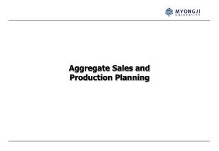 Aggregate Sales and Production Planning