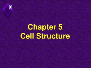 Chapter 5 Cell Structure