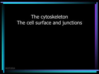 The cytoskeleton The cell surface and junctions