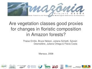 Are vegetation classes good proxies for changes in floristic composition in Amazon forests?