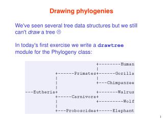 Drawing phylogenies