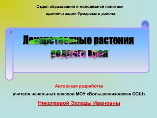 Авторская разработка учителя начальных классов МОУ «Большеяниковская СОШ»