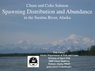 Chum and Coho Salmon Spawning Distribution and Abundance in the Susitna River, Alaska