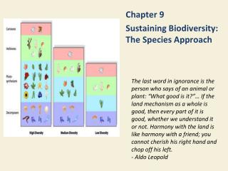 Chapter 9 Sustaining Biodiversity: The Species Approach