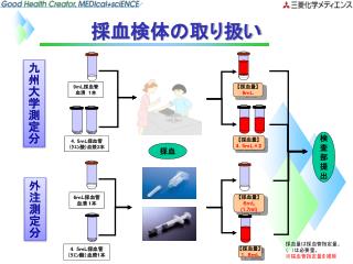 採血検体の取り扱い