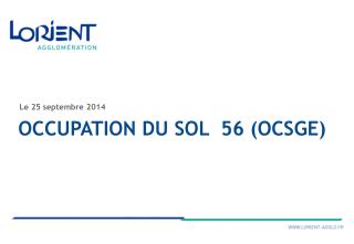 Occupation du sol 56 (OCSGE)