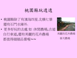 桃園縣玩透透