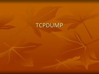 TCPDUMP