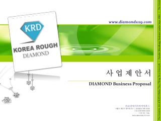 사 업 제 안 서 DIAMOND Business Proposal