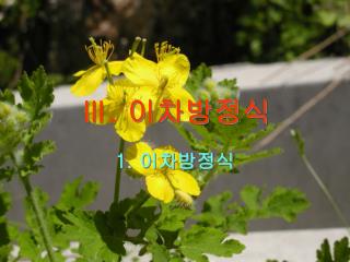 Ⅲ. 이차방정식