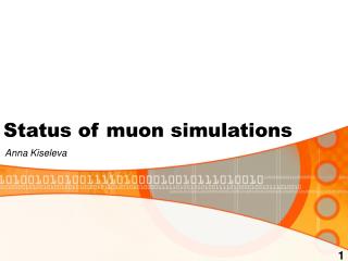 Status of muon simulations