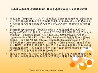 人參及人參皂苷 ; 在順氯氨鉑引發的腎毒性於純系小鼠的藥效評估