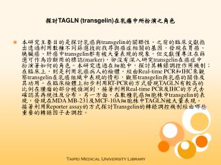 探討TAGLN (transgelin)在乳癌中所扮演之角色