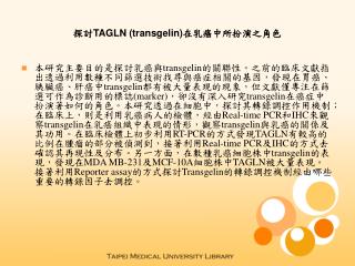 探討TAGLN (transgelin)在乳癌中所扮演之角色