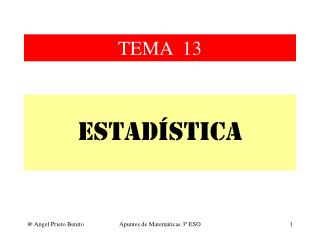 TEMA 13