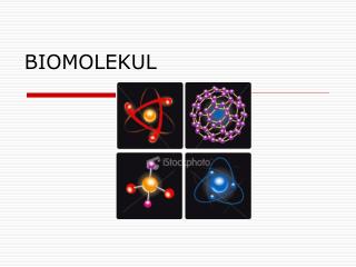 BIOMOLEKUL