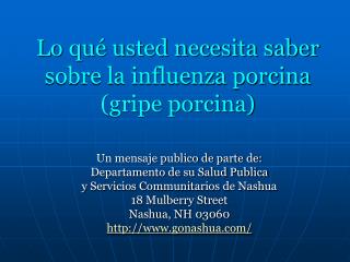 Lo qué usted necesita saber sobre la influenza porcina (gripe porcina)