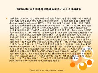 Trichostatin A 誘導神經膠瘤細胞死亡的分子機轉探討