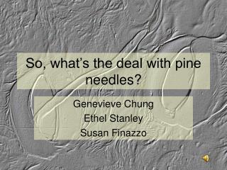 So, what’s the deal with pine needles?