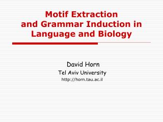 Motif Extraction and Grammar Induction in Language and Biology