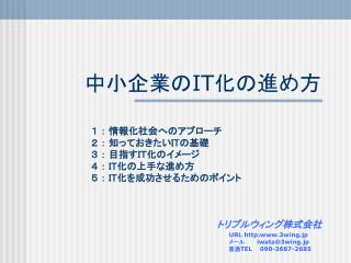 中小企業の IT 化の進め方