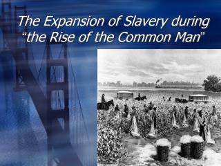 The Expansion of Slavery during “ the Rise of the Common Man ”