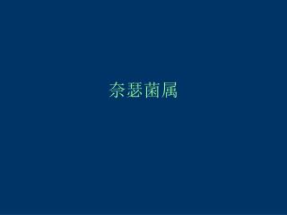 奈瑟菌属