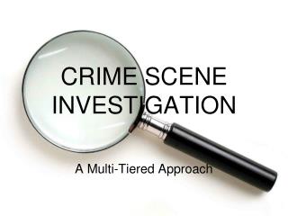 CRIME SCENE INVESTIGATION