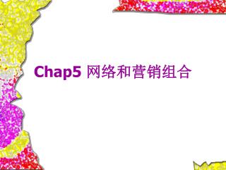 Chap5 网络和营销组合