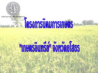 โครงการนิคมการเกษตร &quot;เกษตรอินทรีย์&quot; จังหวัดยโสธร