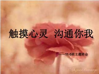 触摸心灵 沟通你我