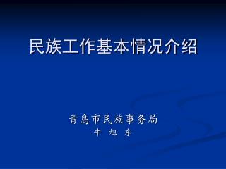 民族工作基本情况介绍