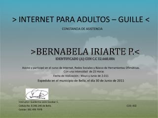 &gt; INTERNET PARA ADULTOS – GUILLE &lt;