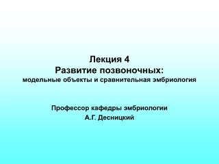 Лекция 4 Развитие позвоночных: модельные объекты и сравнительная эмбриология