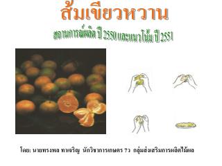 ส้มเขียวหวาน