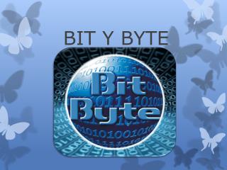 BIT Y BYTE